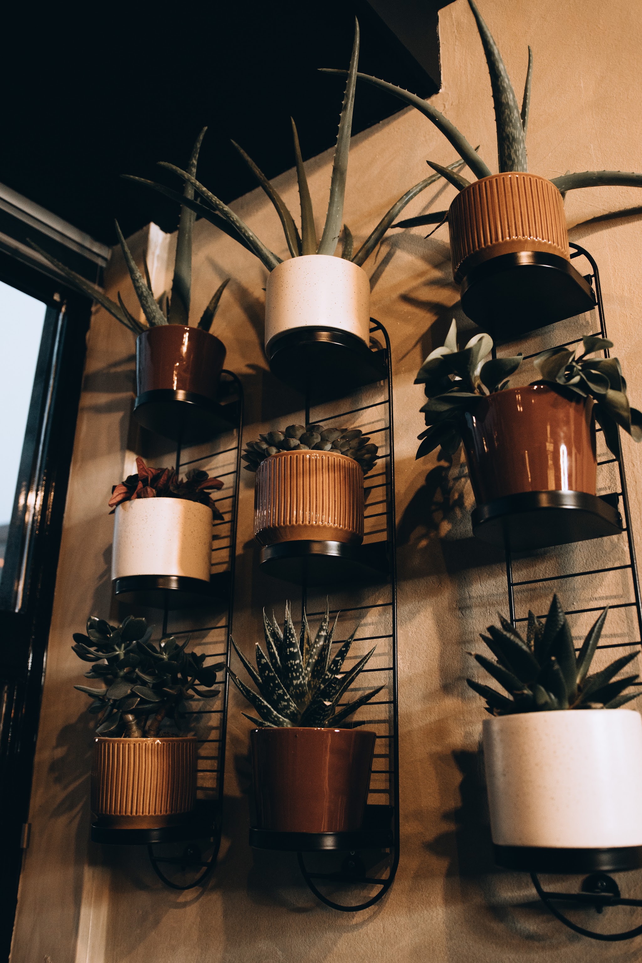 Een wand met vetplanten in koperkleurige en witte potten