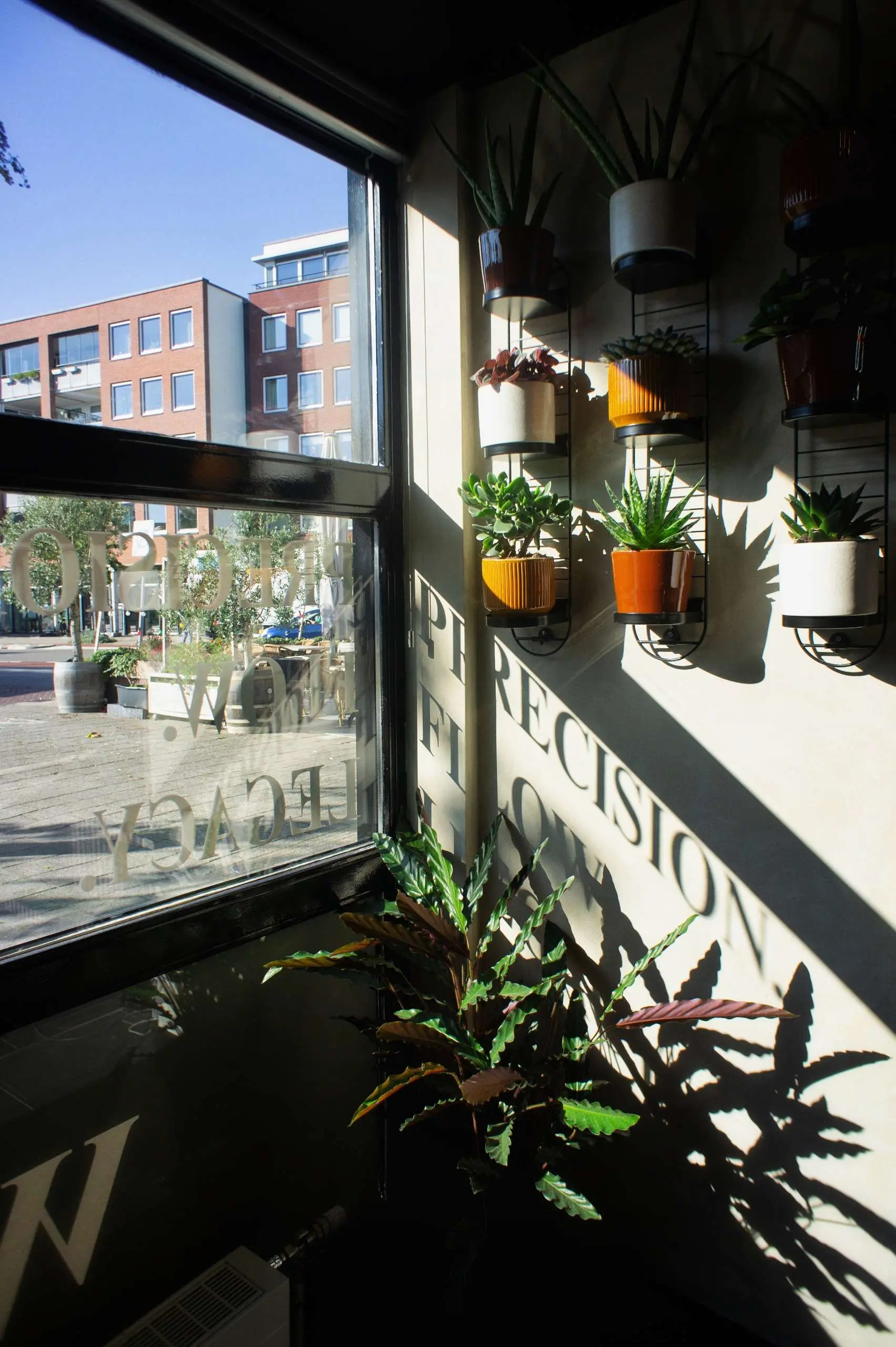 Zonlicht door het raam met planten en de belettering op het glas